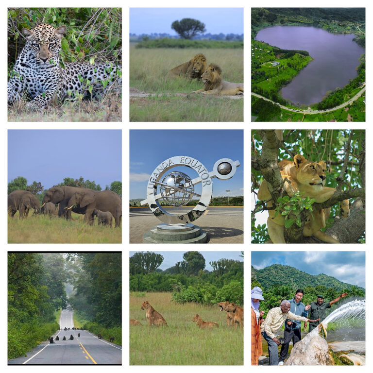 UNITED KINGDOM LIFTS TRAVEL ADVISORY FOR UGANDA’S QUEEN ELIZABETH AND SEMULIKI NATIONAL PARKS