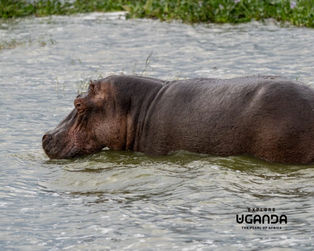 Explore Western Uganda 007