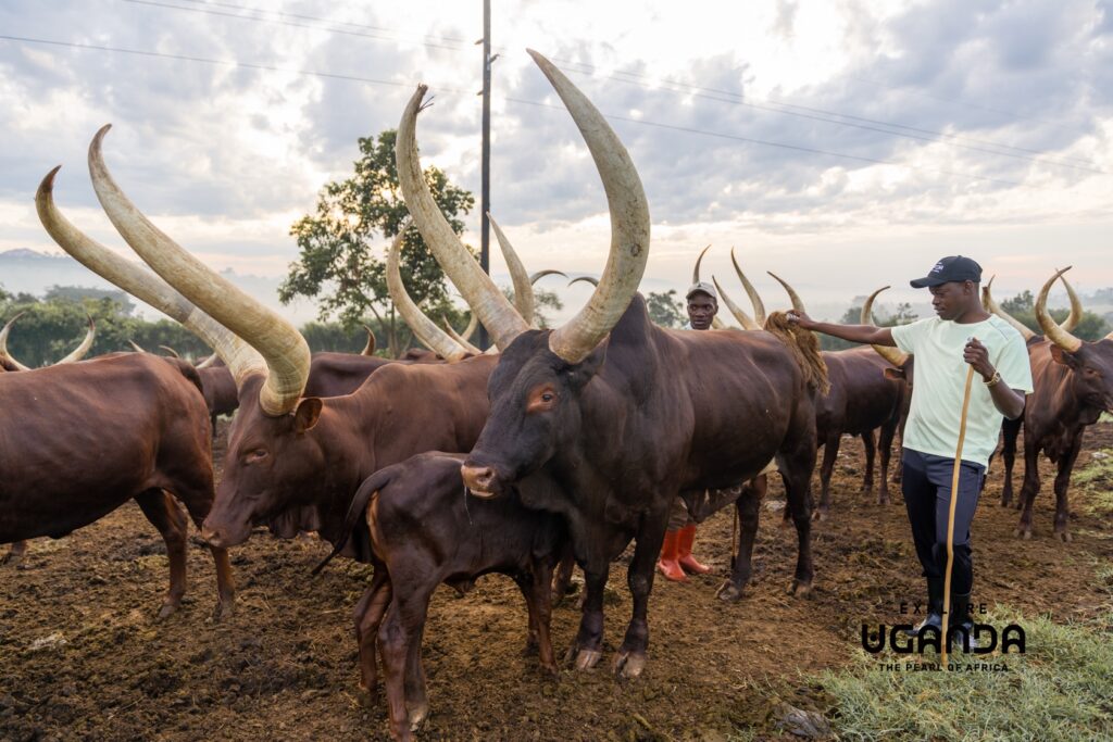 Explore Western Uganda 008