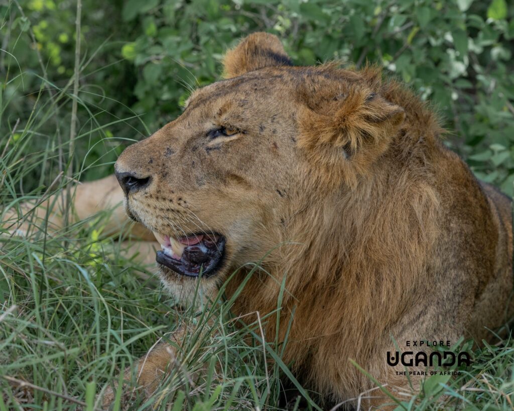 Explore Western Uganda 012