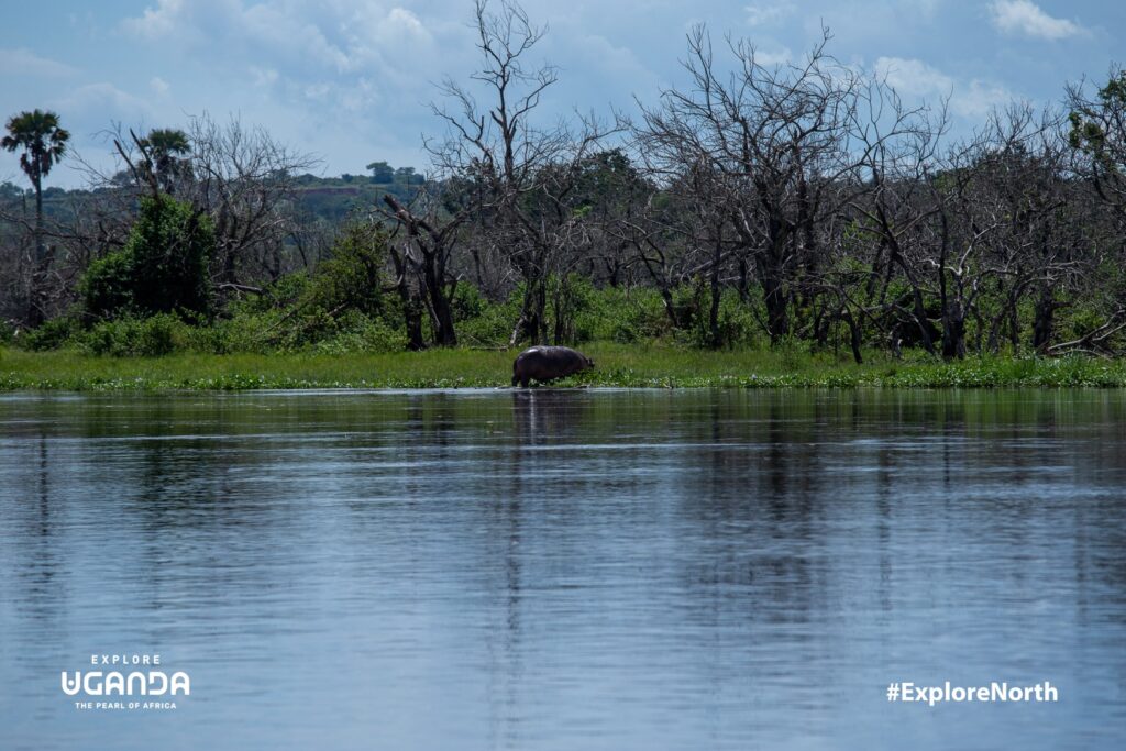 Explore Northern Uganda 015